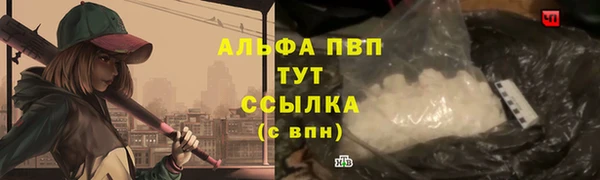 СК Арсеньев