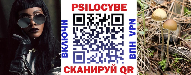 где можно купить наркотик Малоархангельск Псилоцибиновые грибы Cubensis
